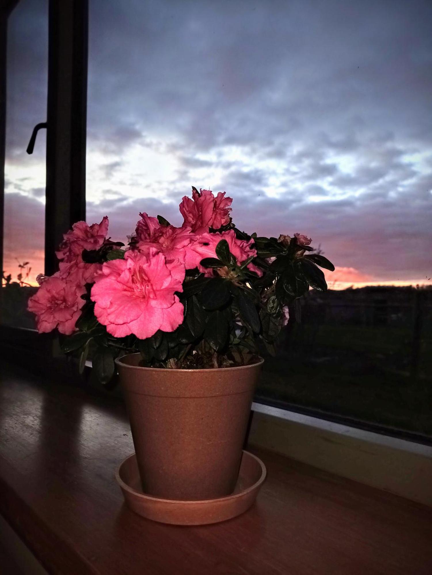 Mapperton Barn House B&B Nr Stourhead & Longleat Mere  Exteriér fotografie